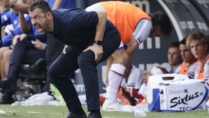 Sampdoria, D'Aversa: "Rimonta non facile, e meritavamo anche di più"