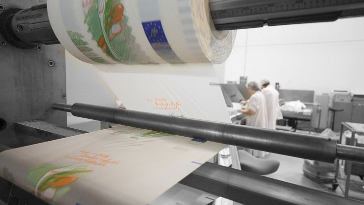 Plastica, la prima vittoria: “In Italia solo sacchetti bio”