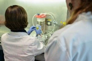Il concorso nazionale di Medicina &egrave; legge, un colpo ai baroni