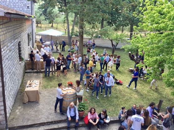 Mongolfiere in Vendemmia nel Sannio 