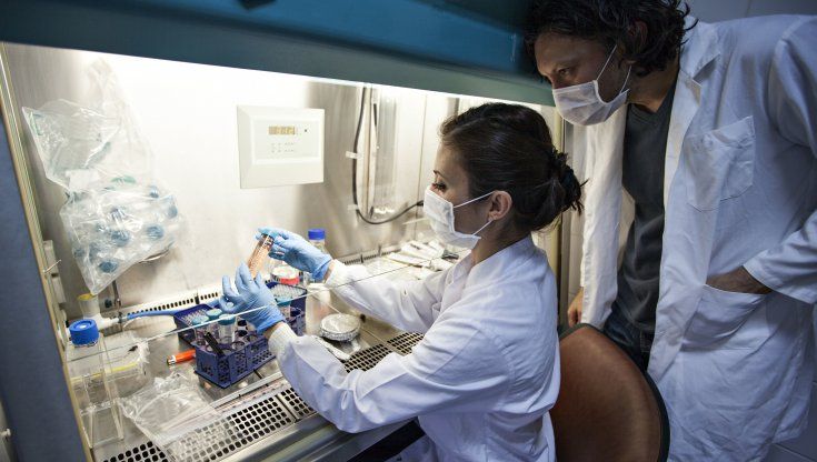 Tumori, l'Ema avvia una revisione su Car-T: "Rischio neoplasie secondarie"