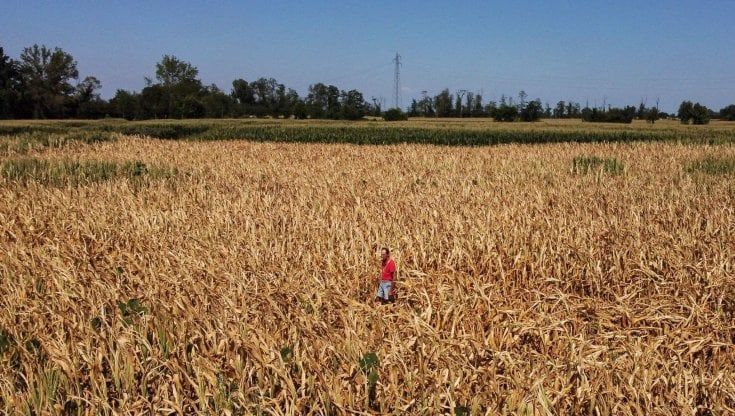 Meteo in Lombardia, caldo record fino a 40 gradi e notti tropicali: i dieci giorni più lunghi dell'estate 