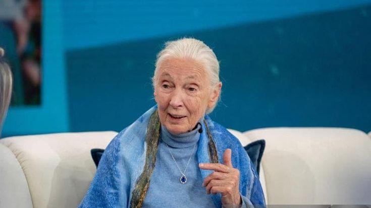 Jane Goodall: “Amo gli scimpanzé grazie al mio cane”