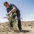 L’uomo delle foreste: “Così faccio rinascere la natura”