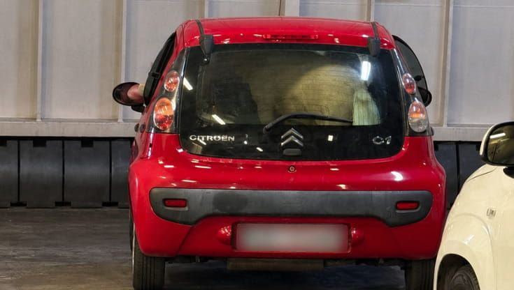 La denuncia: pony nel bagagliaio di un’auto durante in viaggio in nave per Ischia