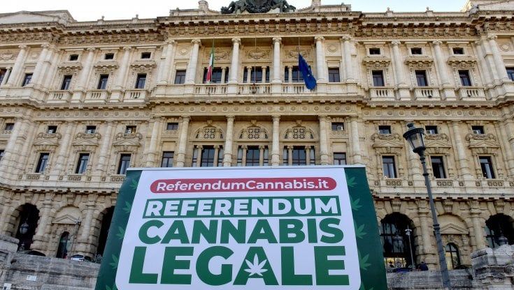 Leonardo Fiorentini: "Il nostro quesito referendario sulla cannabis era corretto e non apriva a oppio e cocaina"