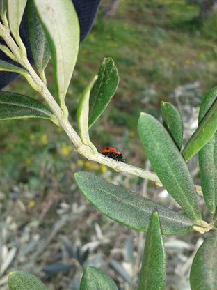 I lettori raccontano la primavera: le foto / 1
