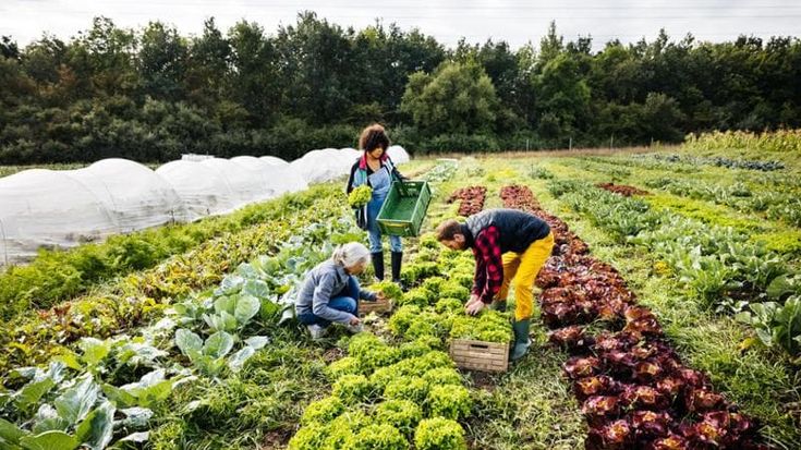 Equiplanet certifica la sostenibilità agroalimentare