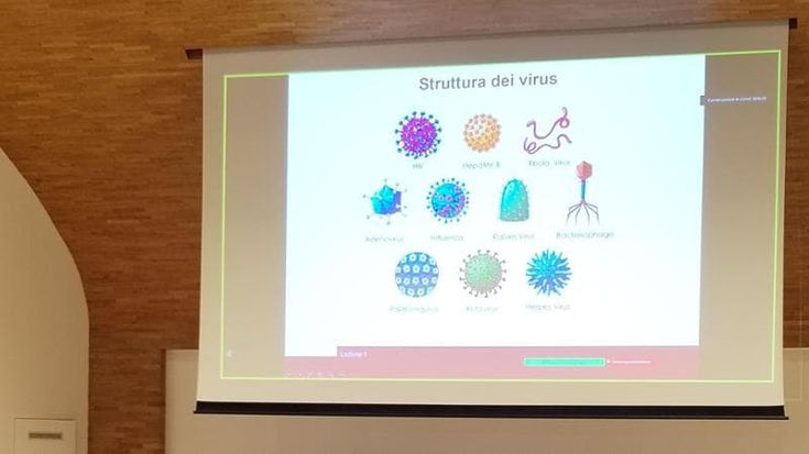 Professori e pazienti avatar: alla Sapienza i futuri medici imparano con l’intelligenza artificiale