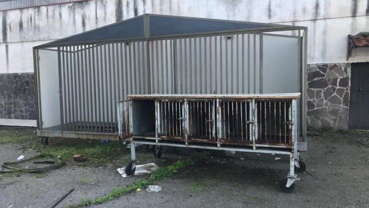 Blitz nella periferia di Torre Annunziata: sequestrato il lager del clan