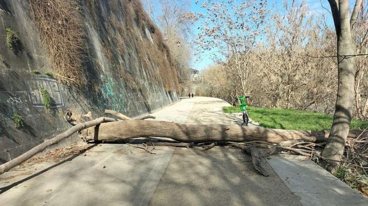 Tevere, ciclabile nel degrado: da Trastevere a Magliana è un percorso a ostacoli