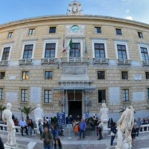 Italia viva-centrodestra: l'alleanza sboccia in Sicilia