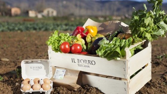 L'orto del Borro, verdure bio a domicilio