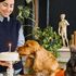 Altro che crocchette: a Lione apre la gastronomia per cani
