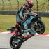 MotoGp Malesia: Quartararo in pole davanti a Vinales, terzo Morbidelli. Valentino sesto, Marquez cade: 11mo