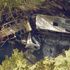 Francia, scontro pullman-tir. Bus in fiamme: 43 morti. Tra le vittime bimbo di 13 anni