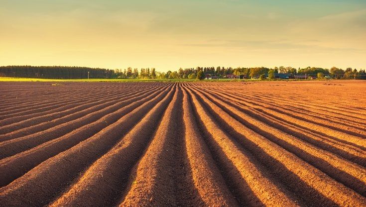 Cibo sano, gusto e filiera certa. L'export traina il made in Italy