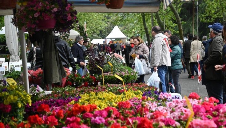 Piante, fiori e decorazioni: la tre giorni di Giardini&Terrazzi a Bologna. E a Ferrara c'è "Giardini aperti"