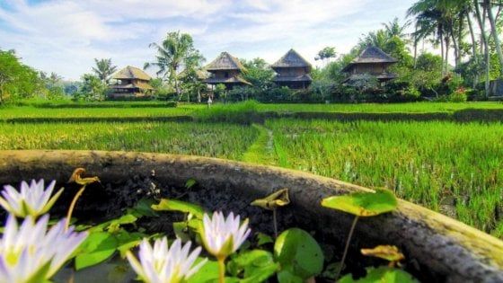 A ritmo lento, è sempre tempo di Bali