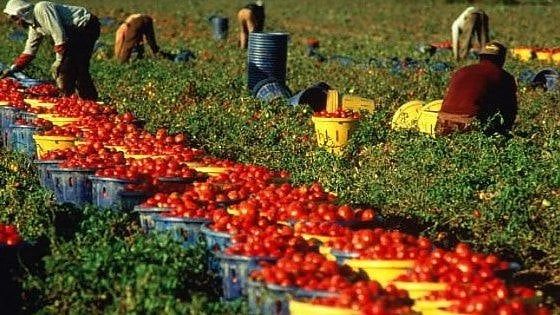 La crisi colpisce anche i lavoratori stranieri: in cinque anni l'occupazione è calata del 6%