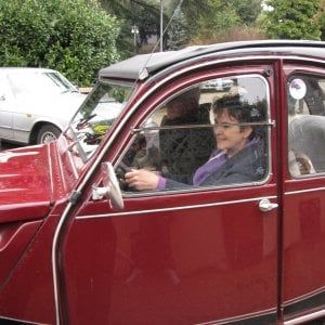 Rosalia La Motta Stefanelli è stata rieletta alla guida dell'Automobile Club Benevento.