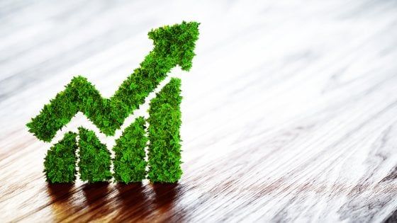 Economia circolare e sostenibilità: Fruttagel sceglie la proposta multiservizi del Gruppo Hera