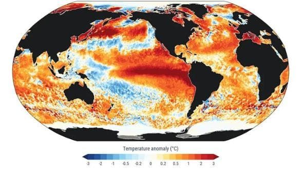 Gli oceani sono sempre più caldi: hanno appena raggiunto la temperatura più alta mai registrata e la situazione è destinata a peggiorare