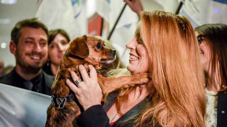 Anche gli animalisti si sfidano alle urne
