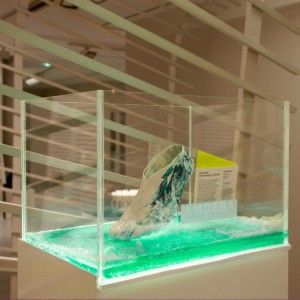 Scarpette da corsa stampate in 3D con materiale biologico. Si rigenerano come le piante