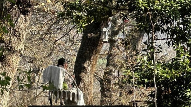La famiglia nel bosco, l’appello di Nathan: “Niente più cortei, i bimbi restino a Vasto”
