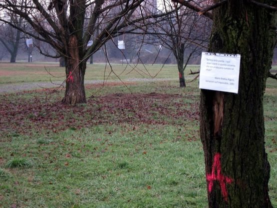 Milano, le poesie sugli alberi per non farli abbattere