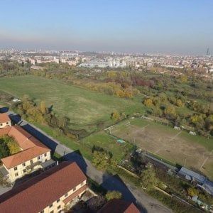 Rapporto Istat, l'Italia si scopre green