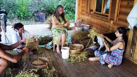 Potenza, il sogno di Beppe: rendere la sua fattoria autosufficiente