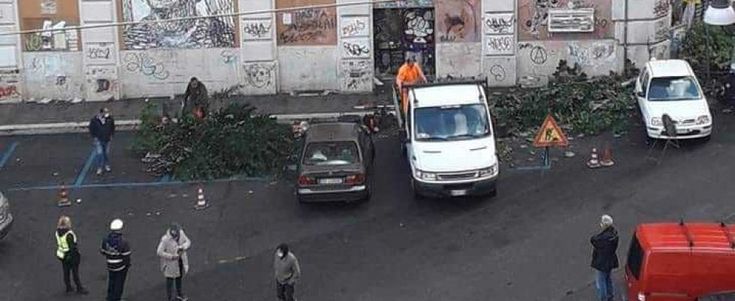 San Lorenzo, Elio Germano: "In piazza dei Sanniti il Comune dà l'ordine di tagliare il verde di tutti" 
