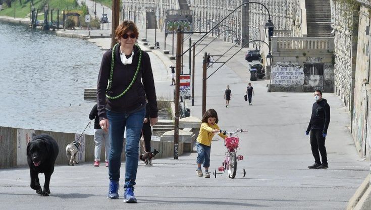 Solitudine da lockdown? A Torino tutti pazzi per i cuccioli: sono 2.500 in più