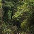 Unesco, grazie alle riserve della Biosfera protetti 7 mila chilometri quadrati di Amazzonia