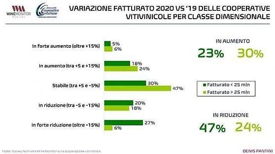 Il vino cooperativo tiene, +1% e  vendite in Gdo +6%  