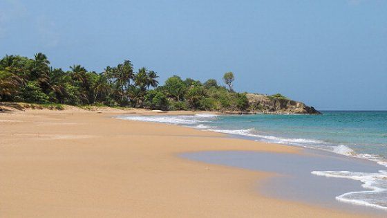  Tutto il sole e il mare delle Antille Francesi 