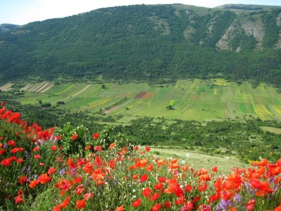 Giornata mondiale dell'ambiente, le vostre foto / 4