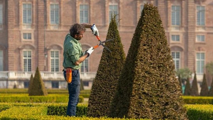 Ai giardini della Reggia arbusti al posto dei fiori per resistere al caldo