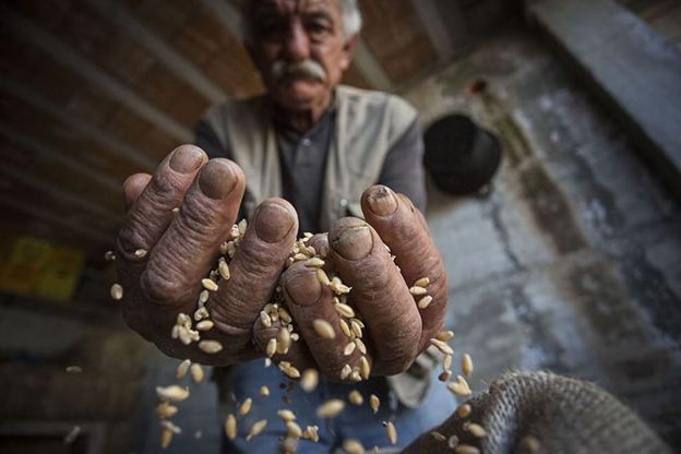 La Puglia e la pietra, il racconto del territorio all'Expo