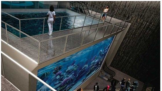 Un acquario a Palermo<br />gli industriali pronti<br />a finanziare il progetto