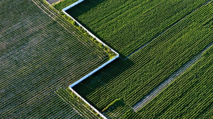 Agrifoodtech, la terra promessa delle startup