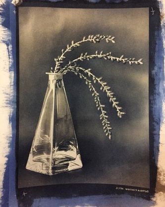 Gino Di Meglio, “percezioni” in mostra ai Giardini Ravino di Forio