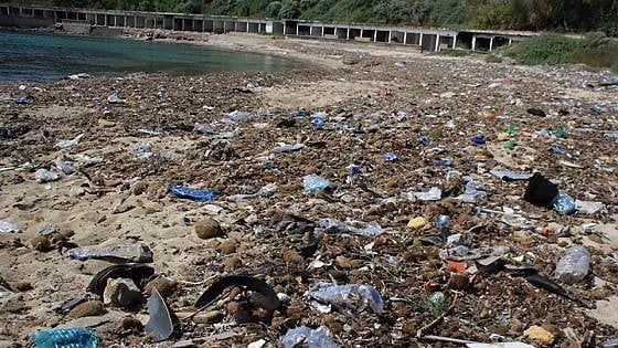 Plastica, sigarette e cartacce: quel tappeto insopportabile sui lidi italiani