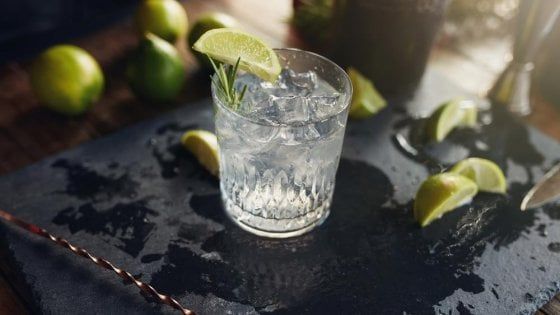 Gin, il distillato che l'Italia ha adottato