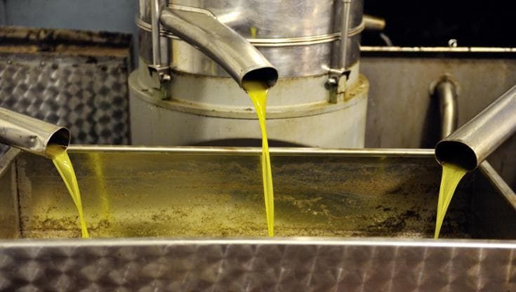 Olio, il prezzo precipita a 4 euro al litro. produttori pugliesi disperati: "Una catastrofe"