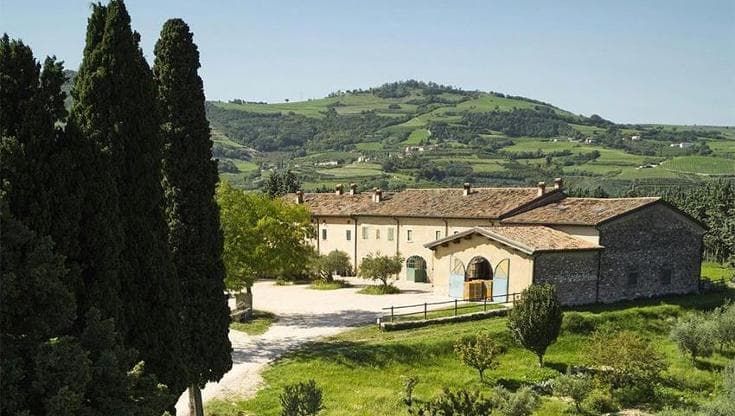 Tra le vigne della Valpolicella questi vini sfidano il tempo