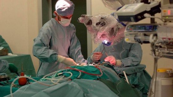 Impiantato neurostimolatore a un malato di Parkinson a Brindisi: è la prima volta in un ospedale pubblico