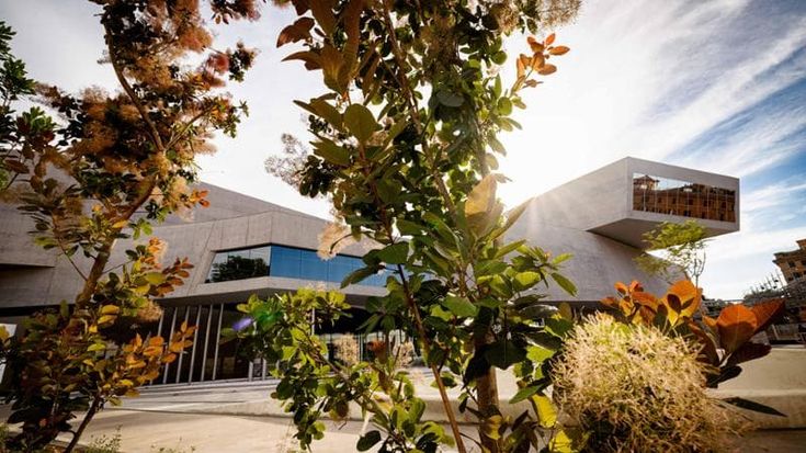 Il Maxxi presenta la nuova piazza verde, progetto green per una cultura sempre più sostenibile